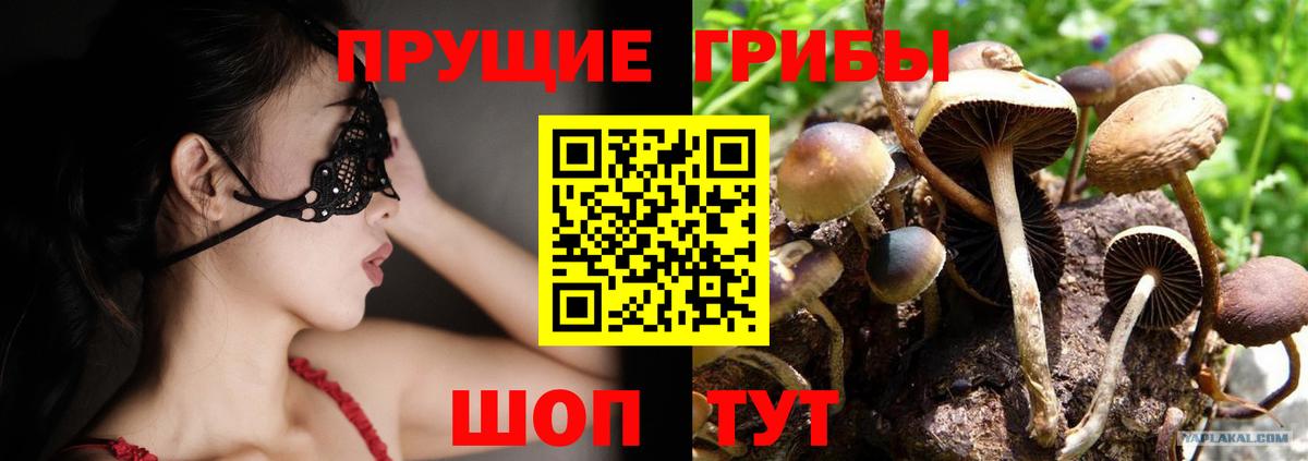 Псилоцибиновые грибы мицелий  купить   Новоуральск  Вход с VPN 