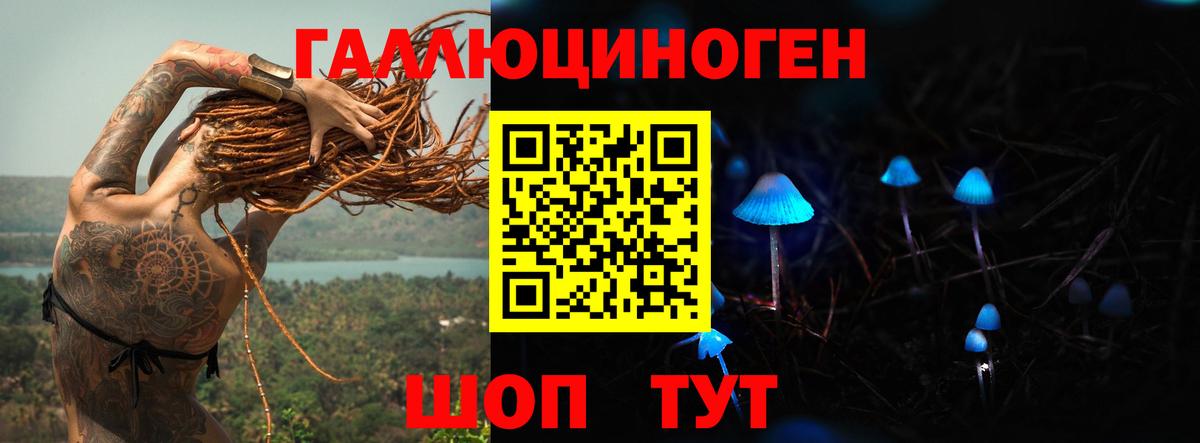 Псилоцибиновые грибы GOLDEN TEACHER Новоуральск